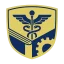 Datta Meghe Institute of Higher Education and Research logo