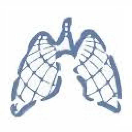 Universities of Giessen and Marburg Lung Center logo