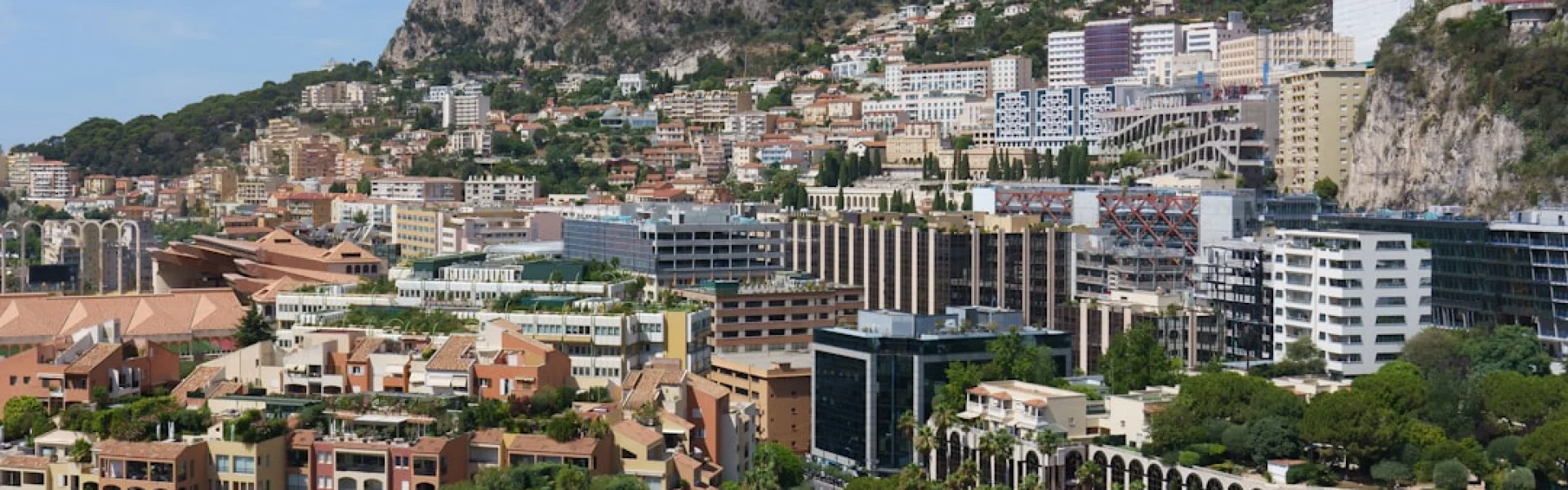 International University of Monaco