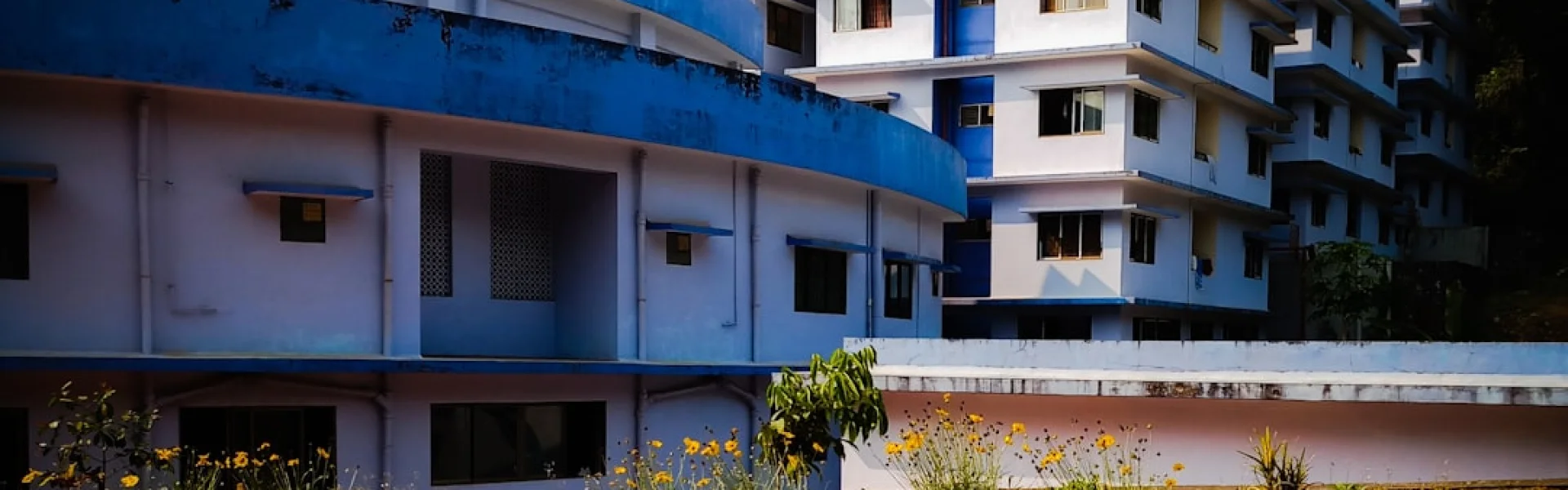 国立理工学院,西尔雅