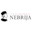 Universidad Nebrija logo