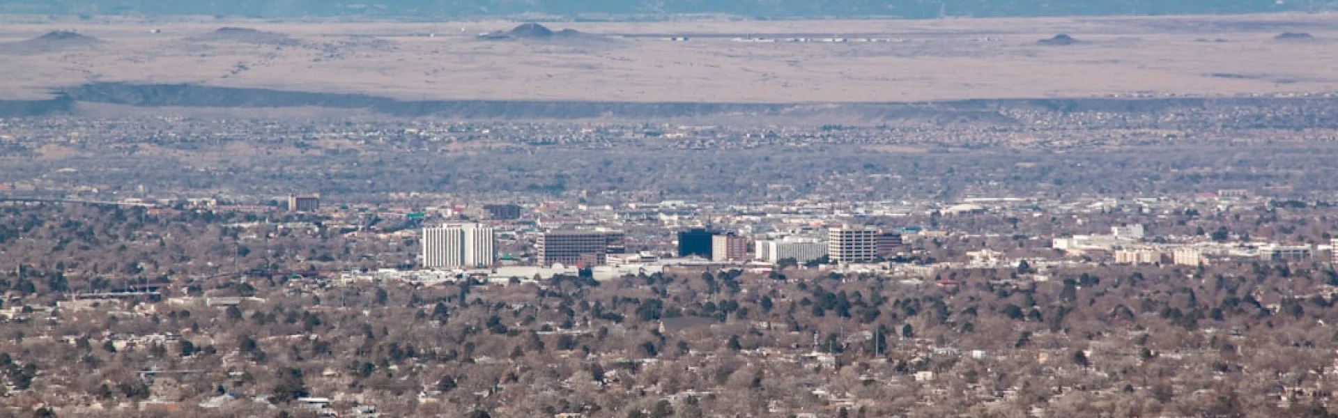 New Mexico State University