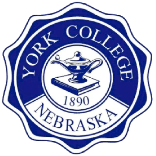 York University logo