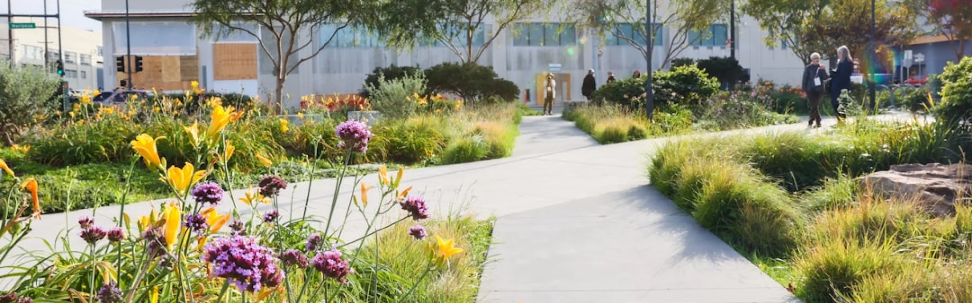 Conway School of Landscape Design