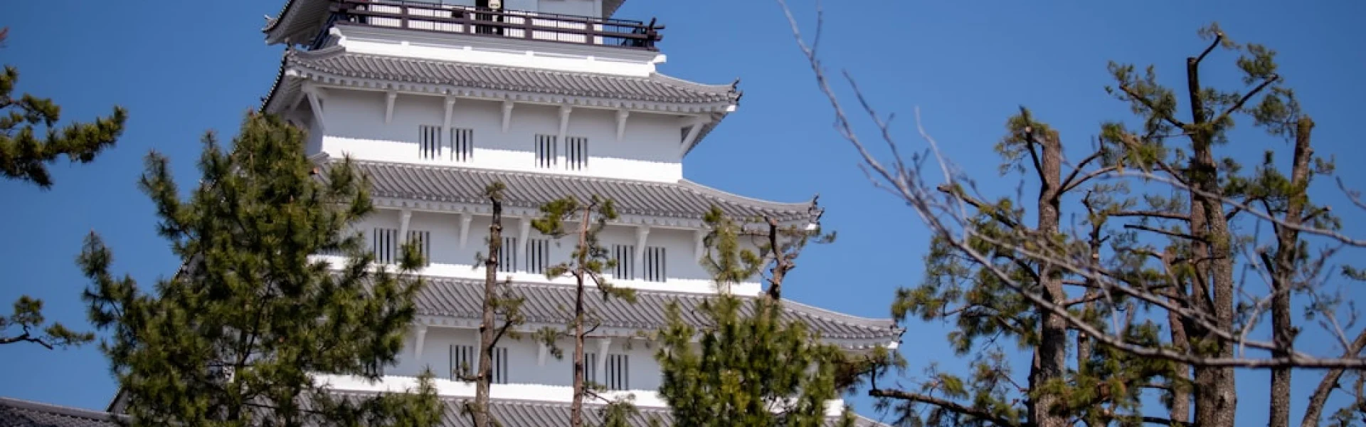 长崎综合科学大学