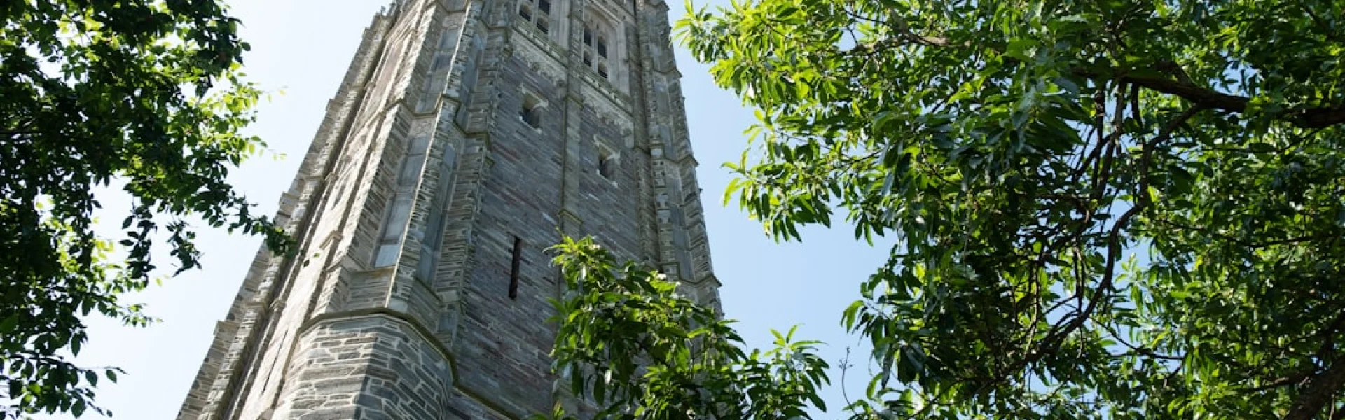 New College