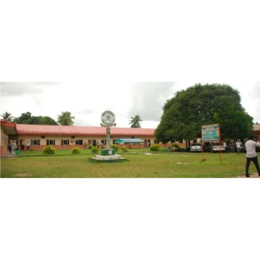 Novena University