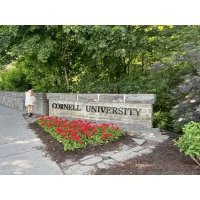 康奈尔大学 logo