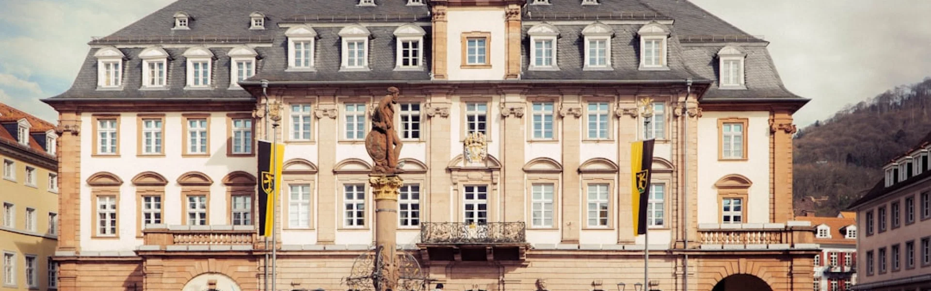 Hochschule Fresenius Heidelberg