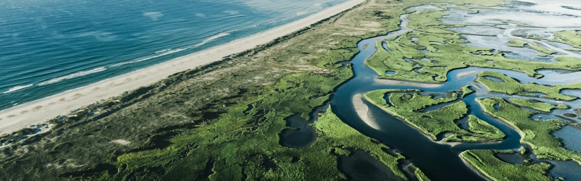 North Carolina Institute for Climate Studies