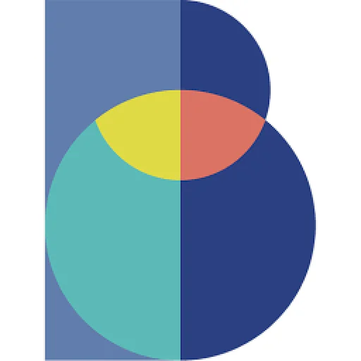 Bruyere Health Research Institute logo