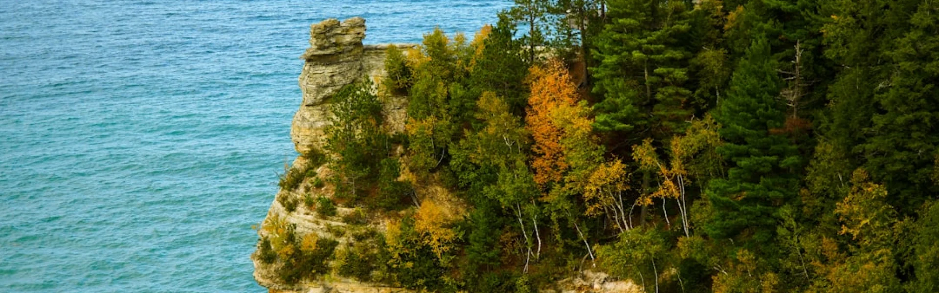 Michigan Geological Survey