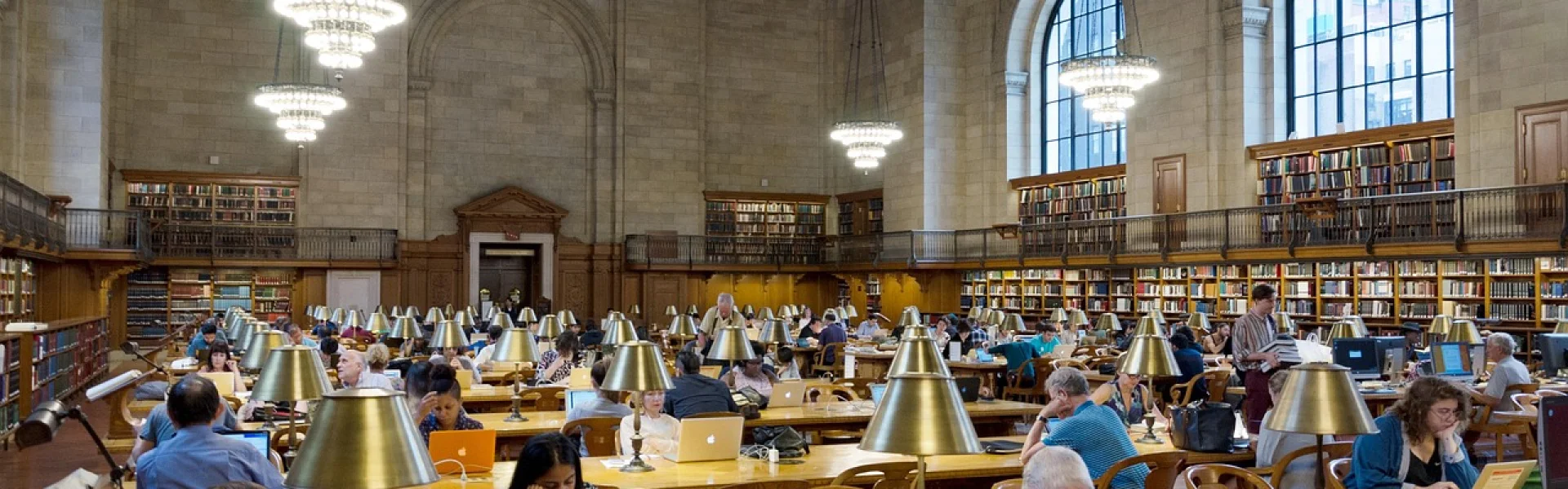 University of the People