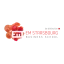EM Strasbourg Business School logo