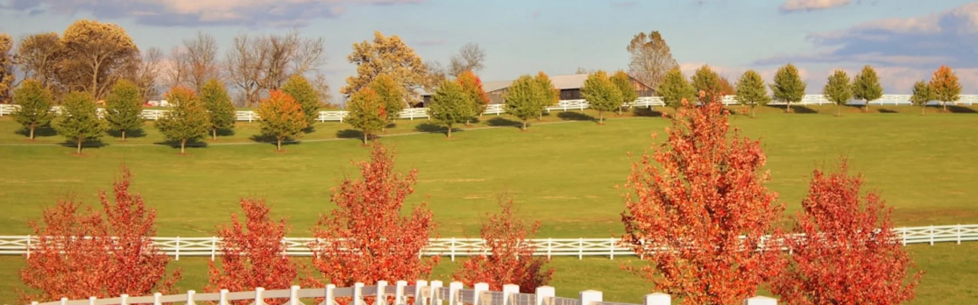 Simmons College of Kentucky