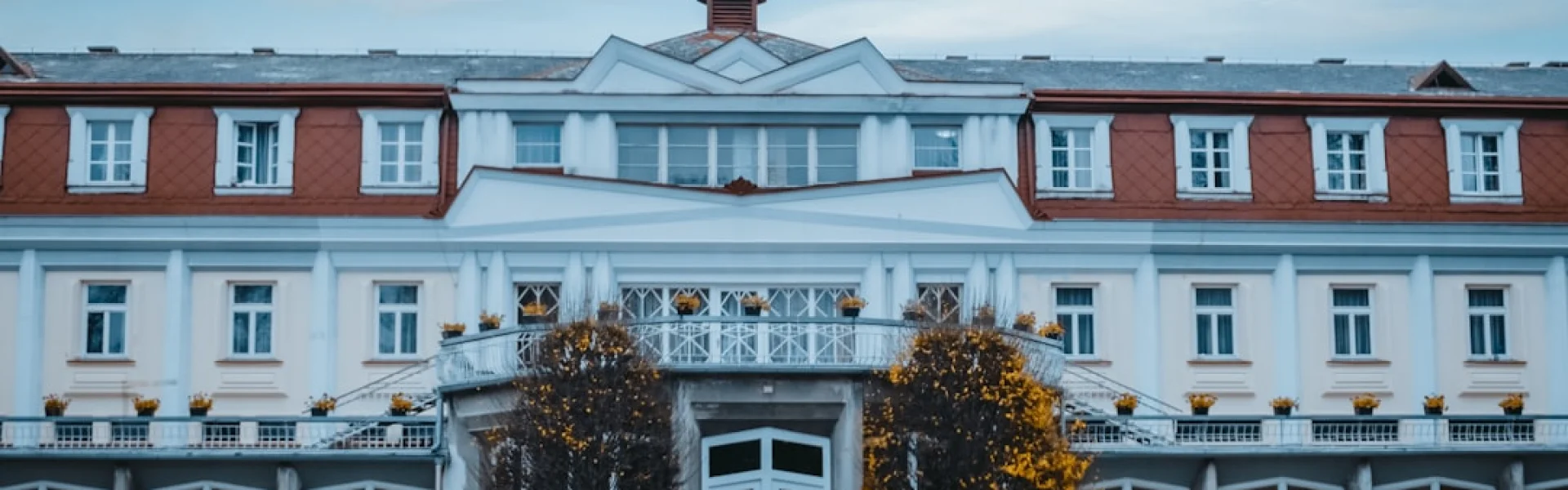 Alphacrucis University College