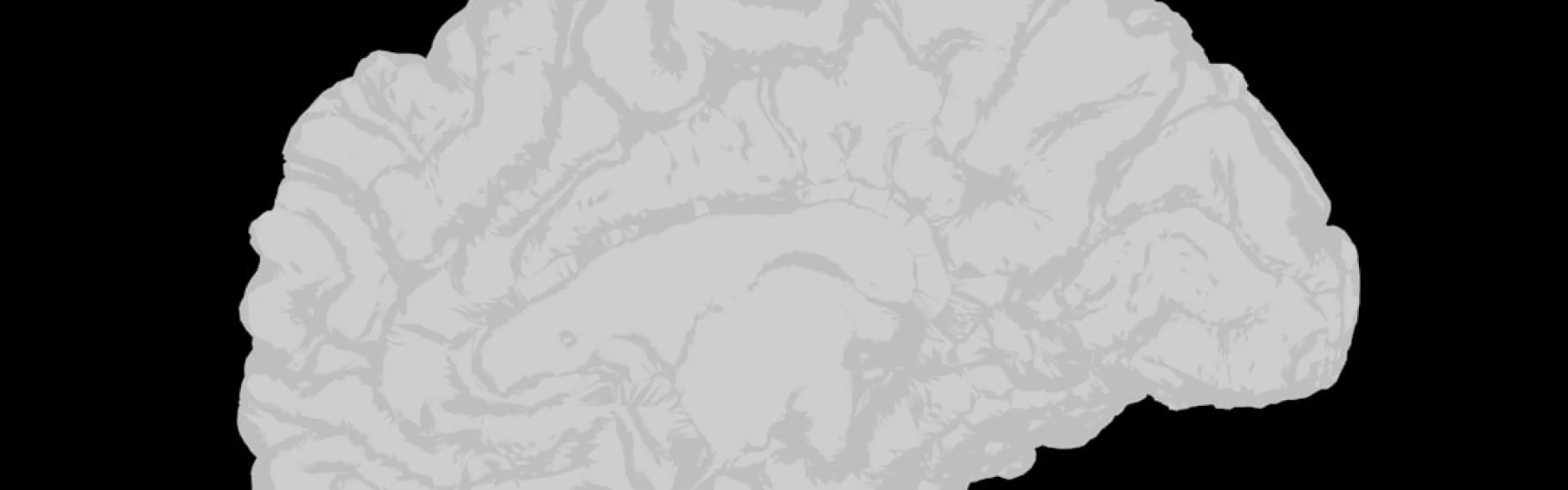 Center for Behavioral Brain Sciences