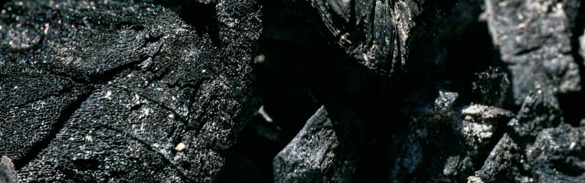 Pearson Coal Petrography