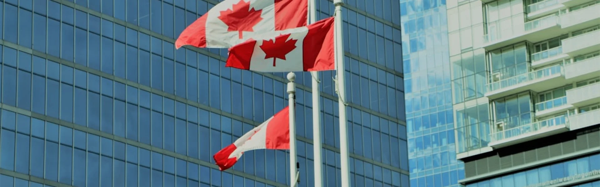 Canadian Securities Institute