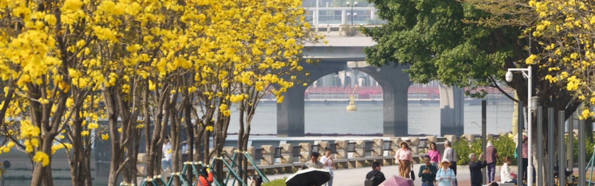 Guangzhou Open University