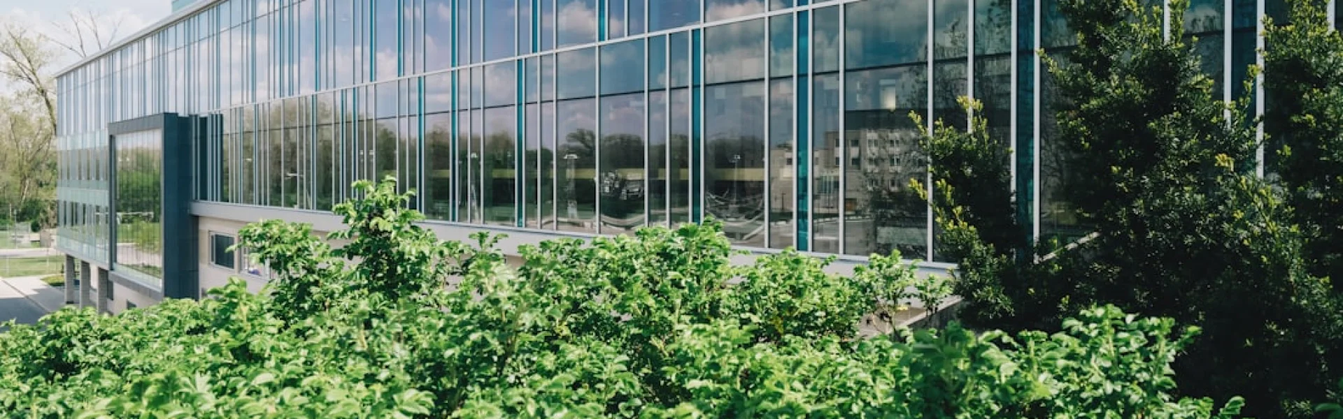 Dahlem Centre of Plant Sciences