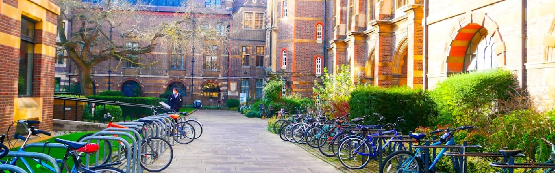 Cambridge Institute for Sustainability Leadership
