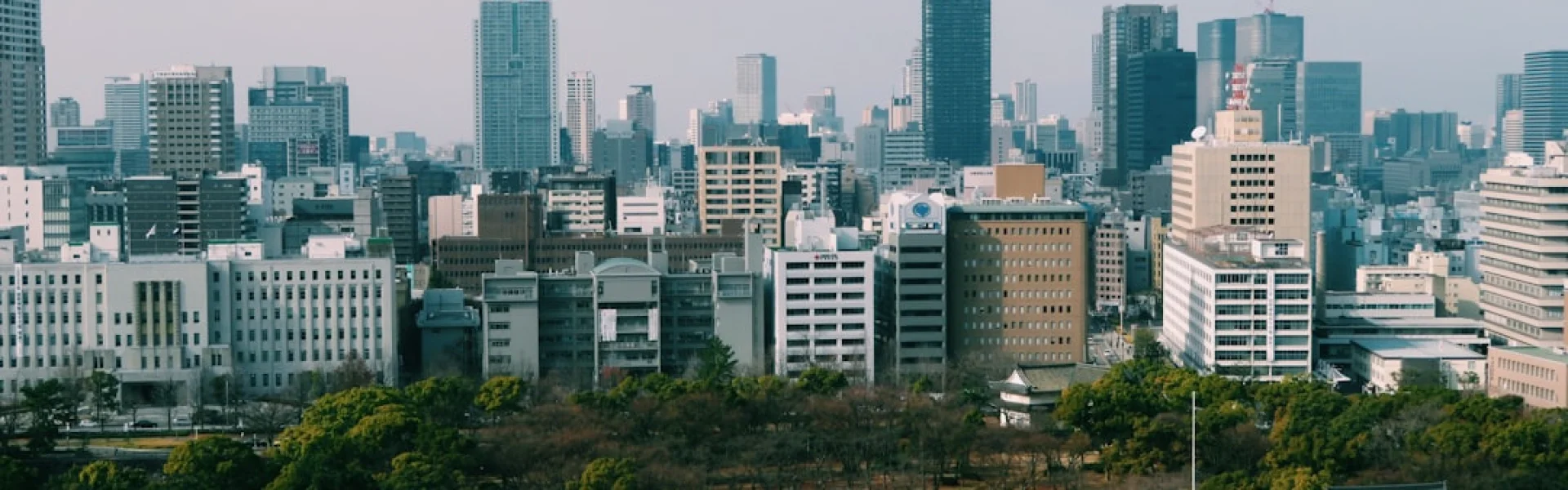 Osaka City University