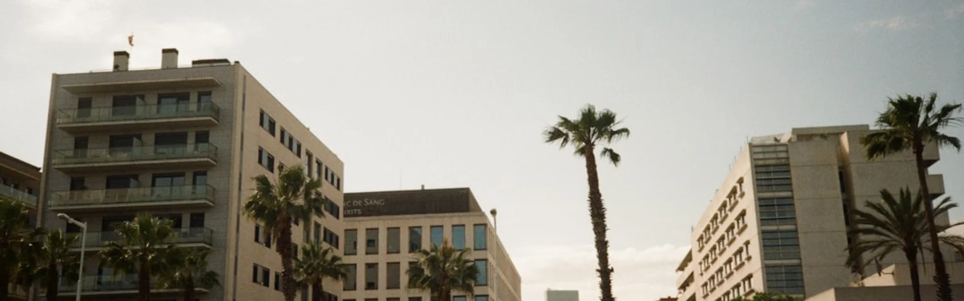 South Mediterranean University