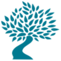 South Mediterranean University