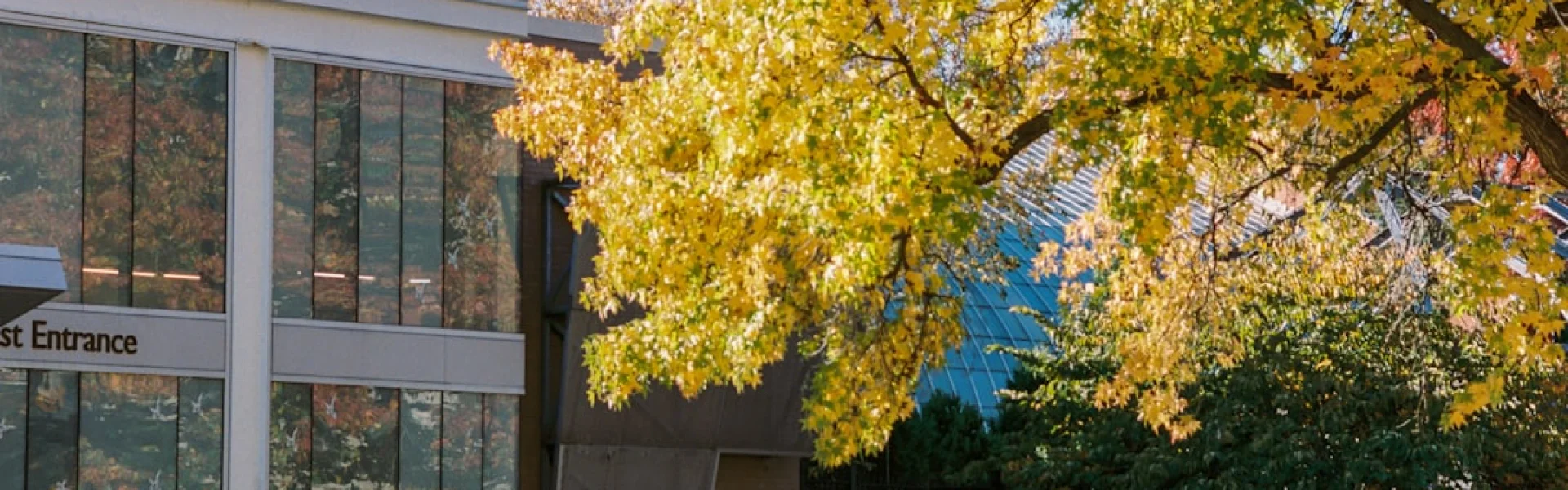 University of Pittsburgh Honors College