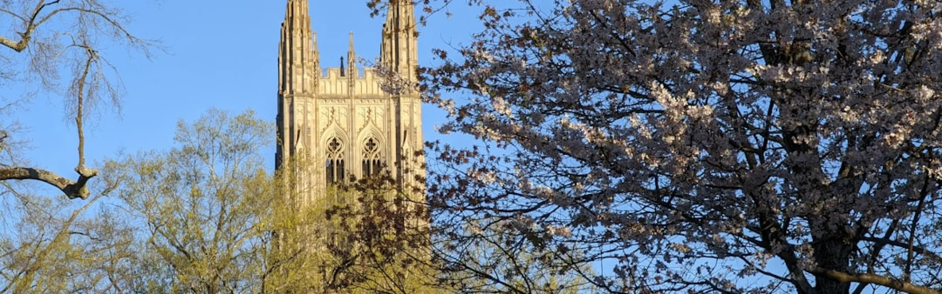 Graduate School of Duke University