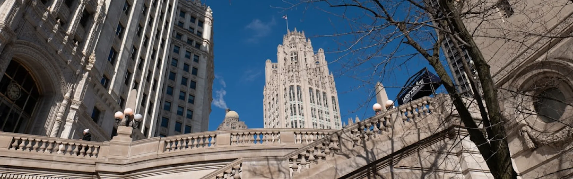 College of the University of Chicago