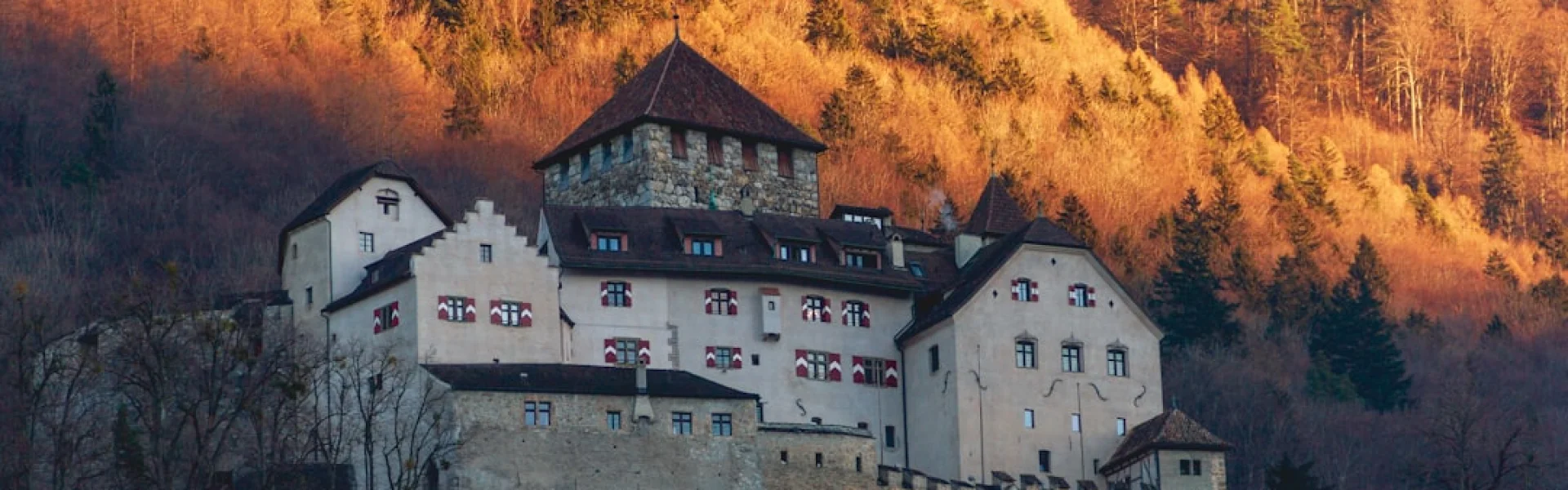 Liechtenstein Institute on Self-Determination