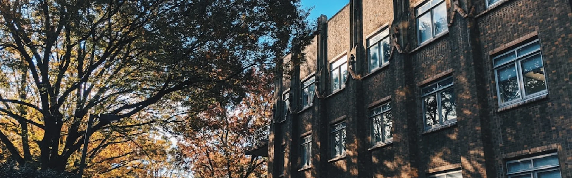 Brown College