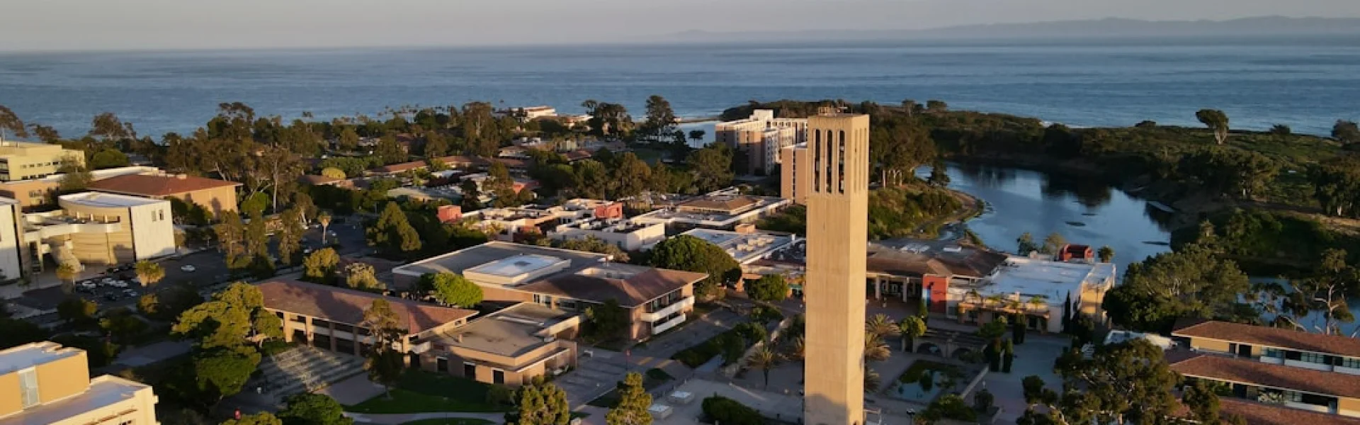 California South Bay University