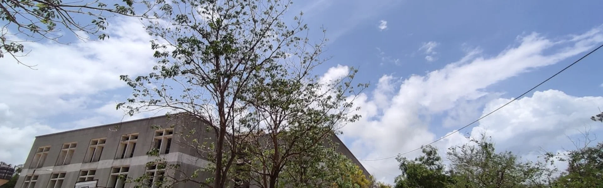 Texas A&M College of Science