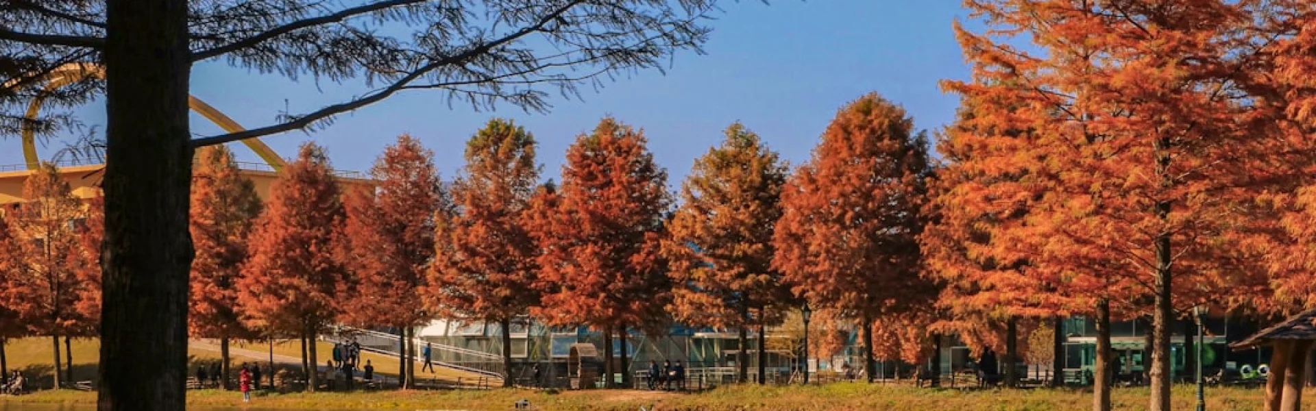 University of Arkansas at Pine Bluff Department of Aquaculture and Fisheries