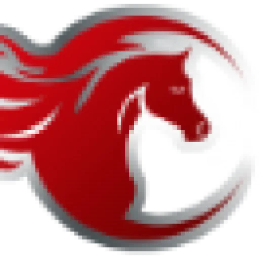 Emil Brunner World University logo
