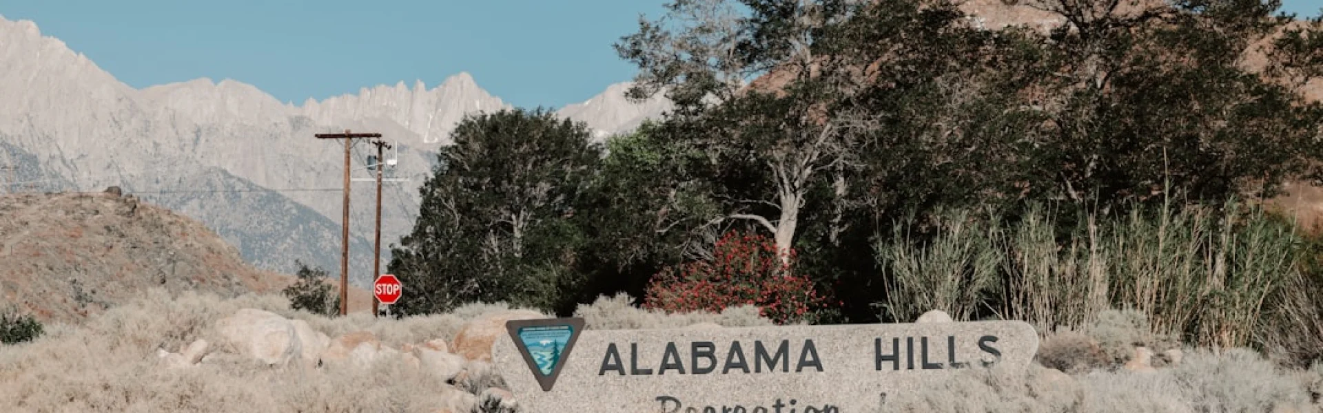 Association of Alabama Camps