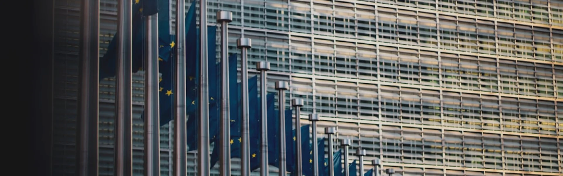 Institute for Economic Competitiveness