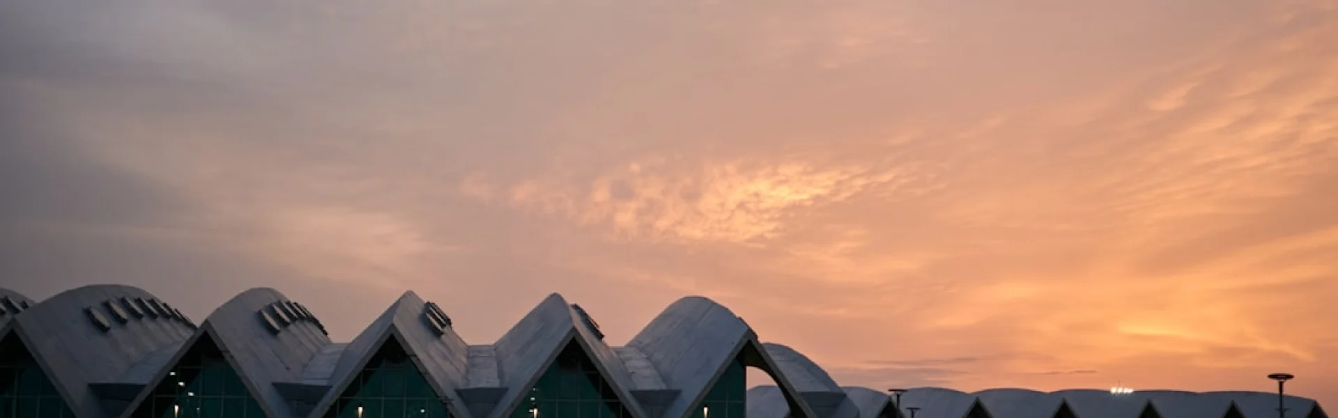 Institute on the Environment