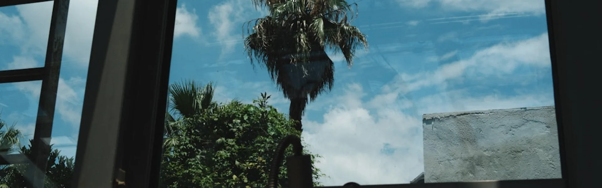 PALM Center