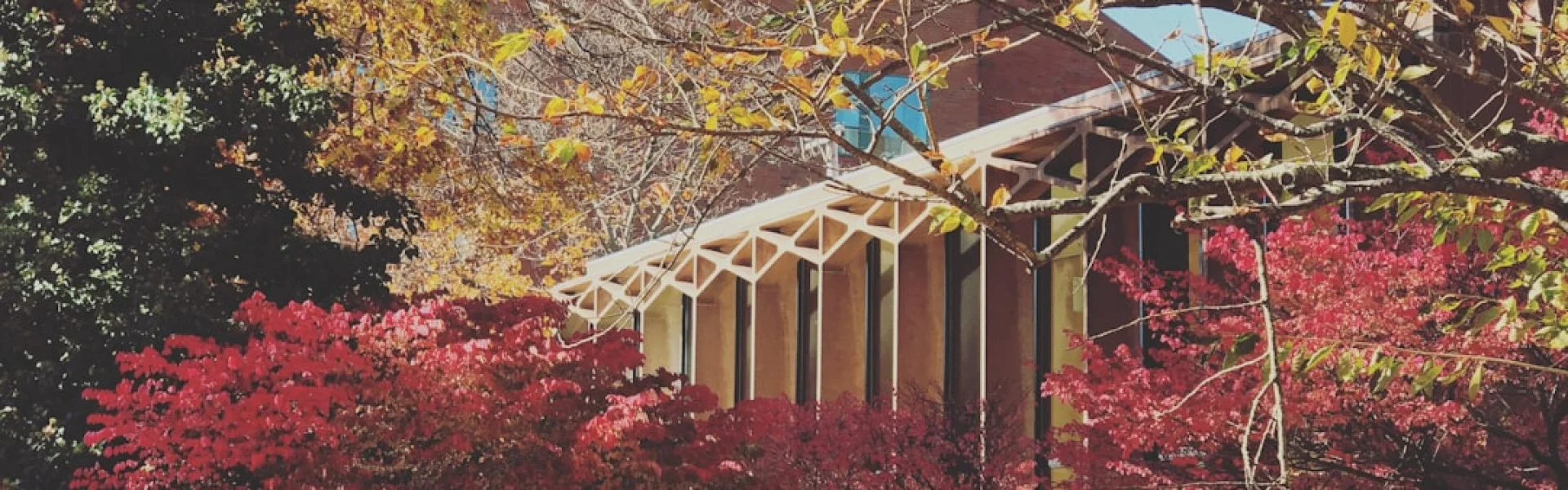 University of Arkansas at Monticello School of Mathematical and Natural Sciences