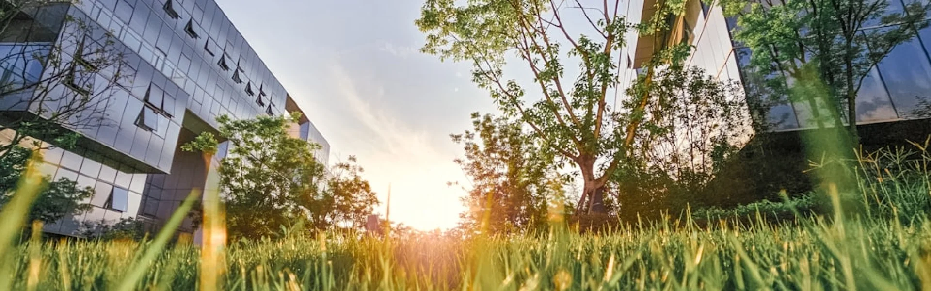 University of Wisconsin Sustainable Management