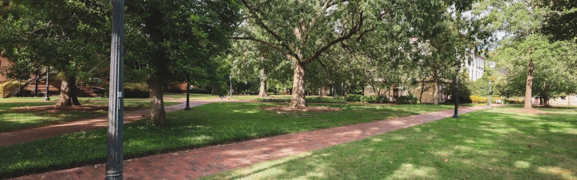 Carolina College