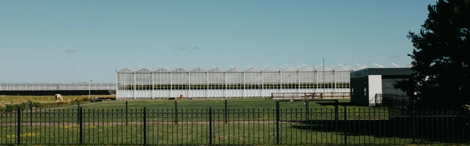 Institute of Food and Agricultural Sciences