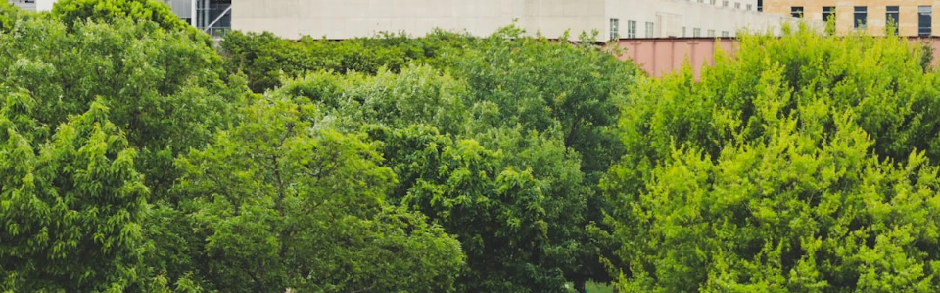 University of Texas at Austin College of Education