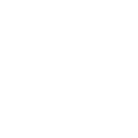 The Government Affairs Institute logo