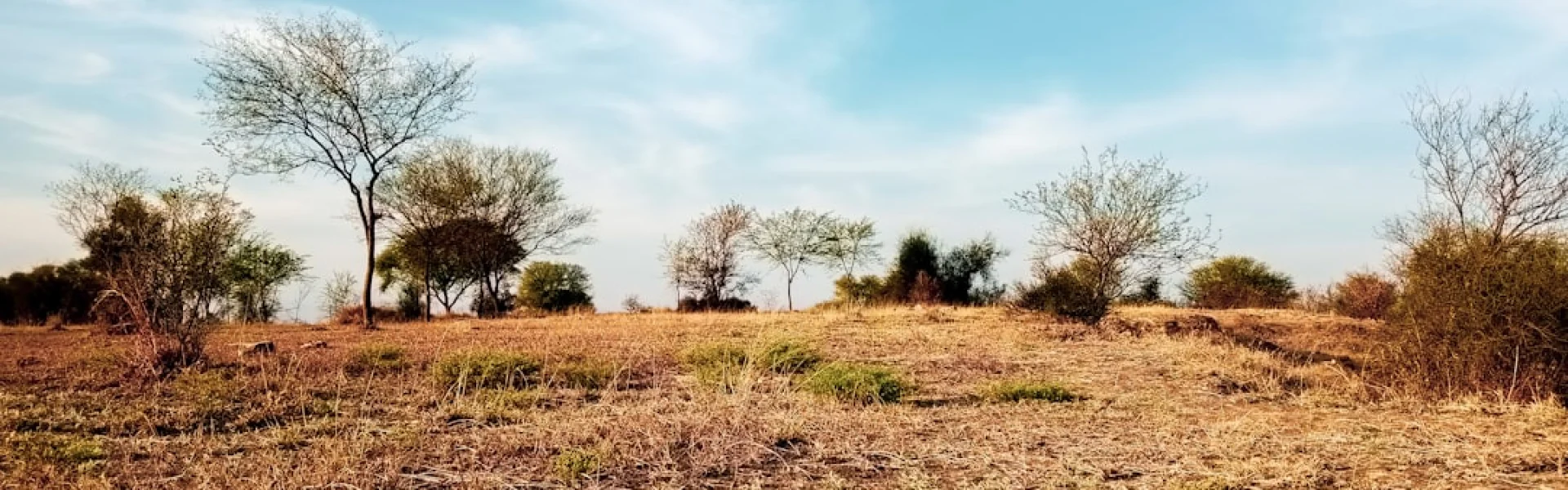 PMAS Arid Agriculture University Rawalpindi