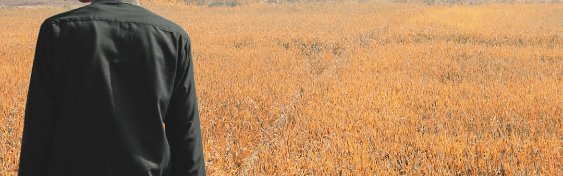 MNS University of Agriculture, Multan